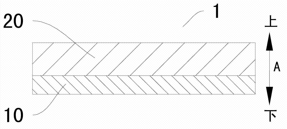 Double base plate used for cookers and cooker provided with double base plate