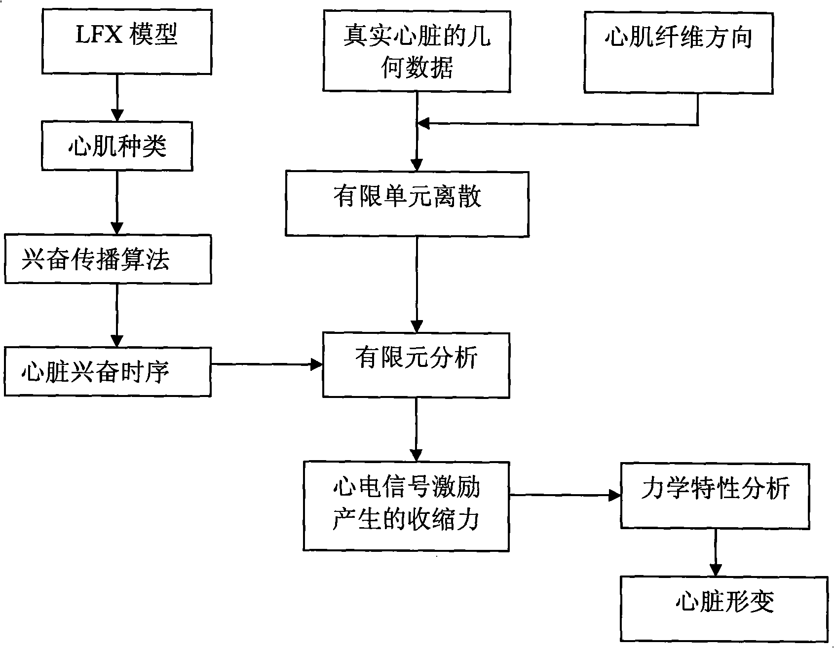 Heart electric function imaging method based on jumping heart model