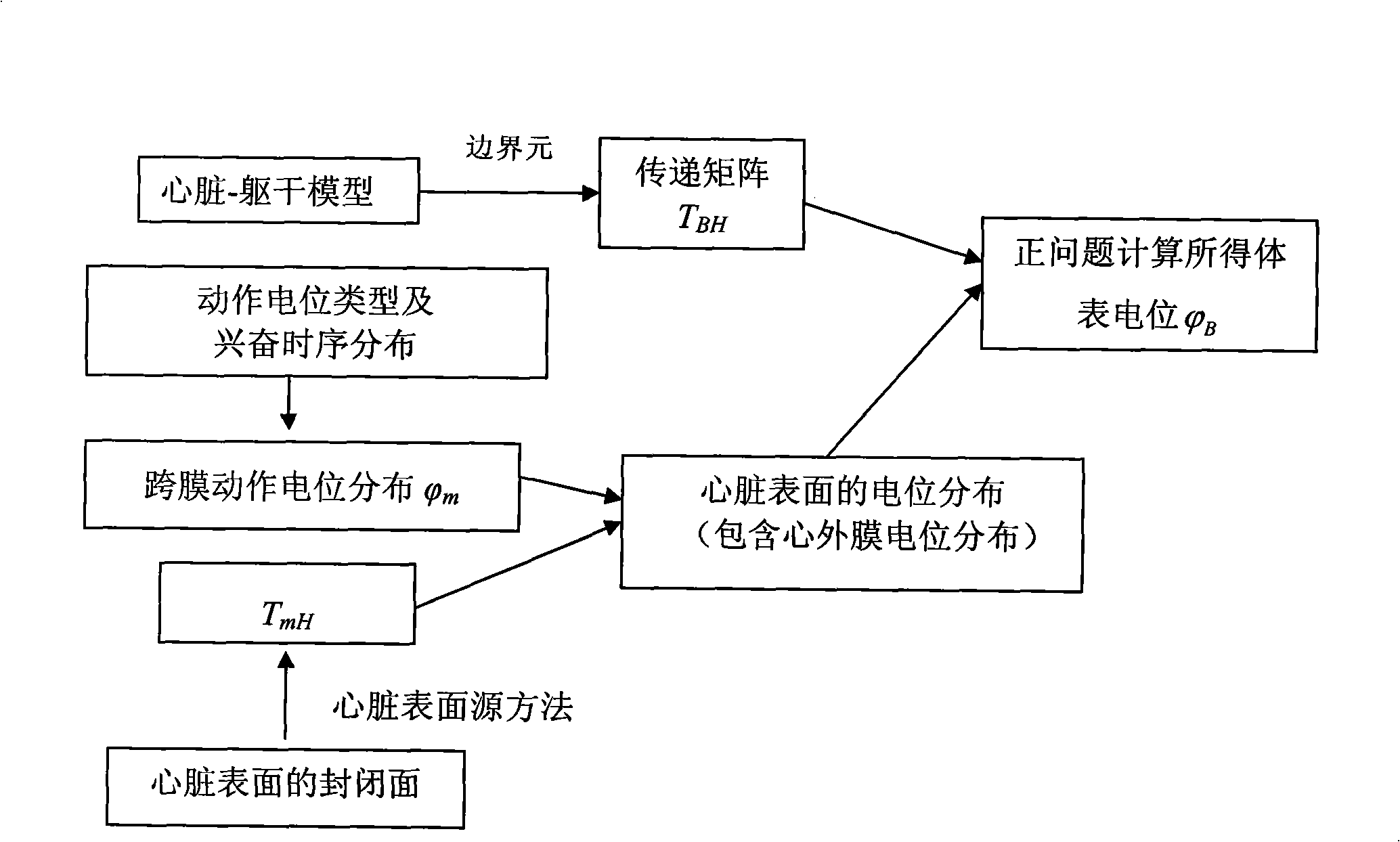 Heart electric function imaging method based on jumping heart model