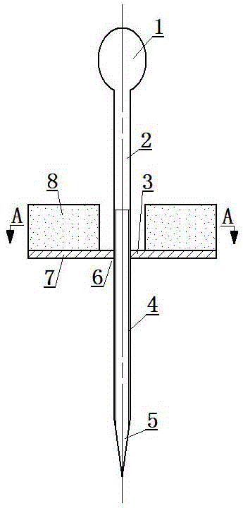 Pin applicable to inserting of insect specimens