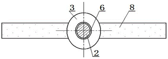 Pin applicable to inserting of insect specimens