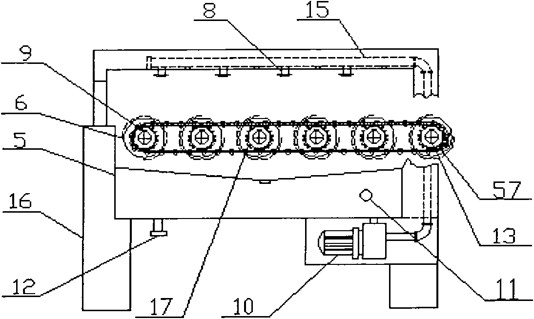 Full-automatic grapefruit package production line