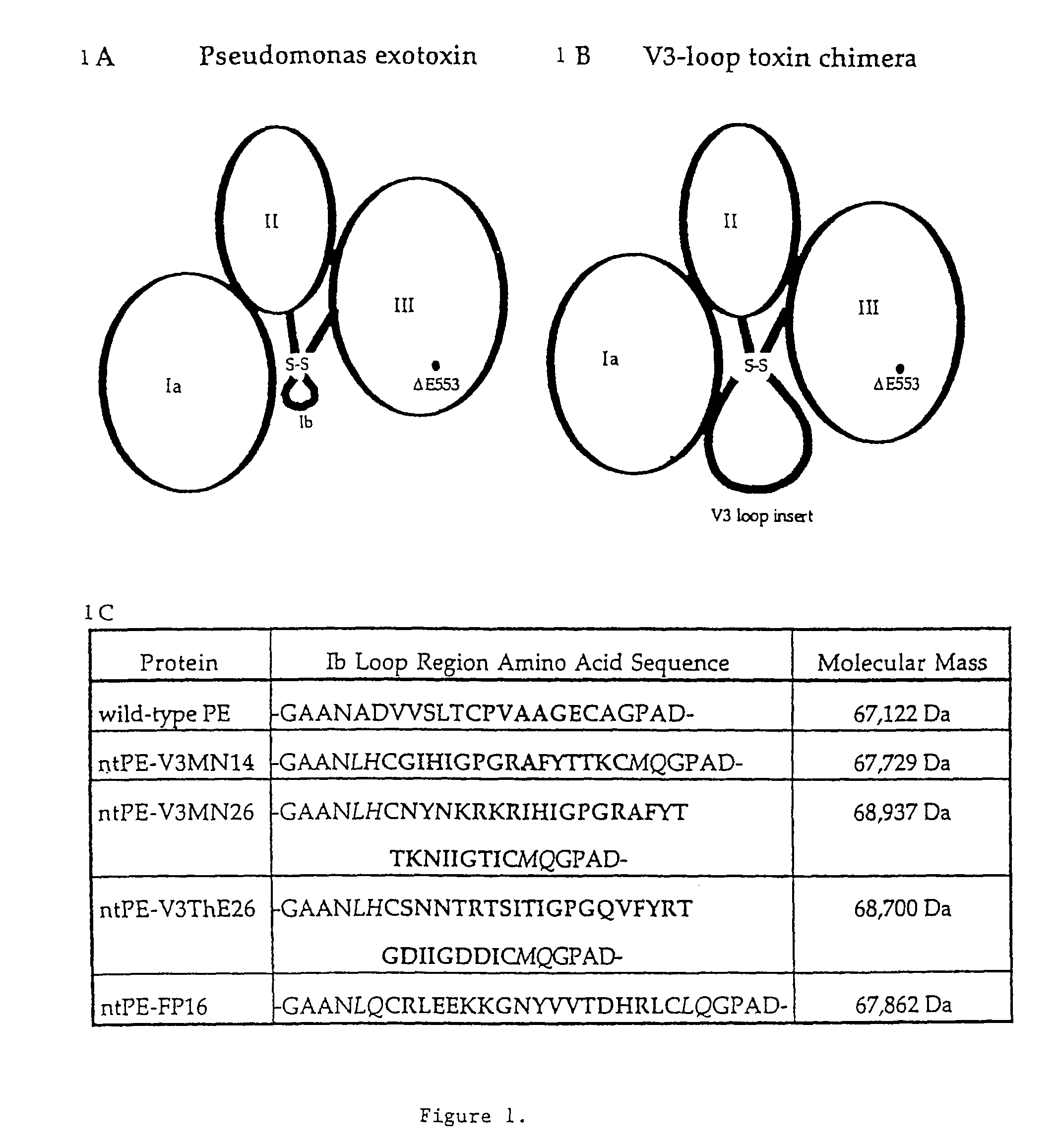 <i>Pseudomonas </i>exotoxin A-like chimeric immunogens