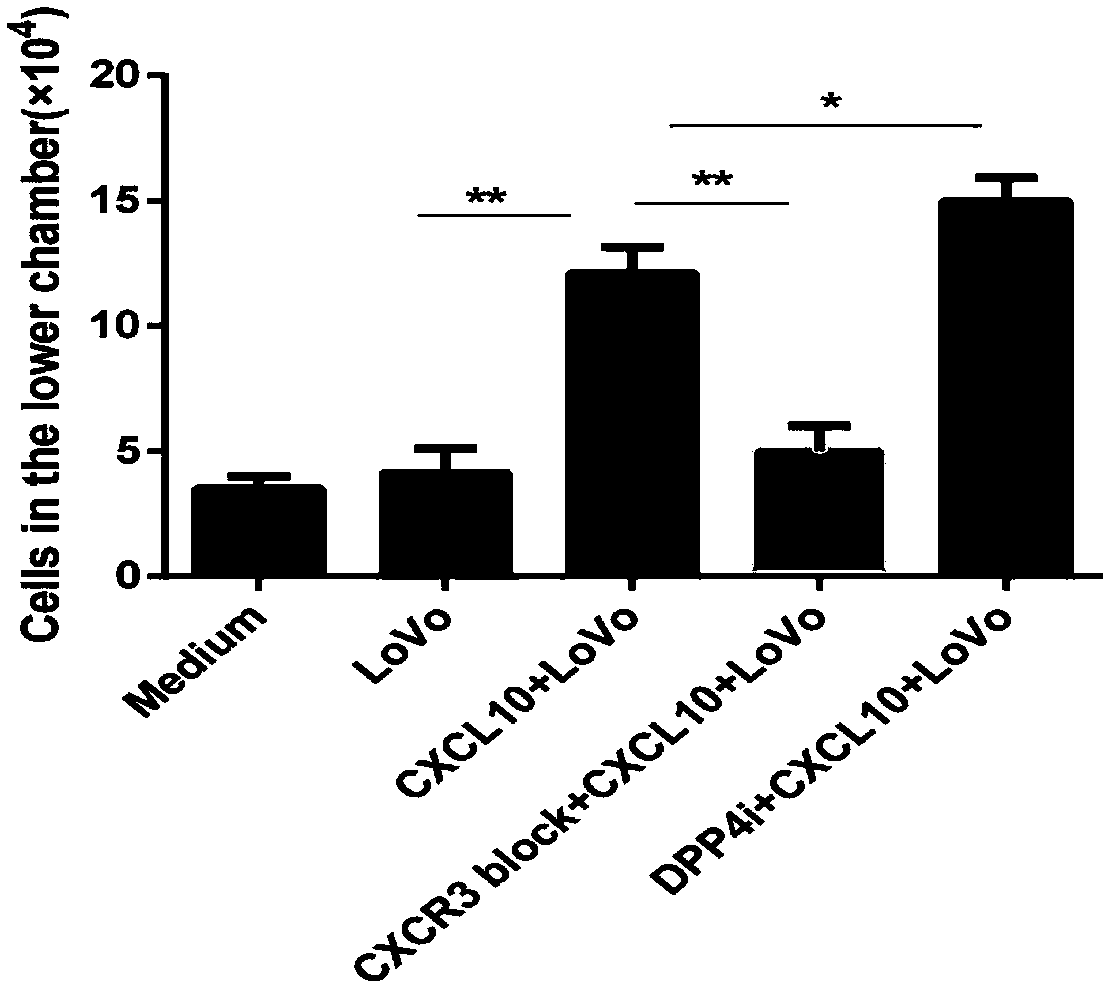 Reagent for enhancing capacity of homing CAR-T cell to solid tumor tissue