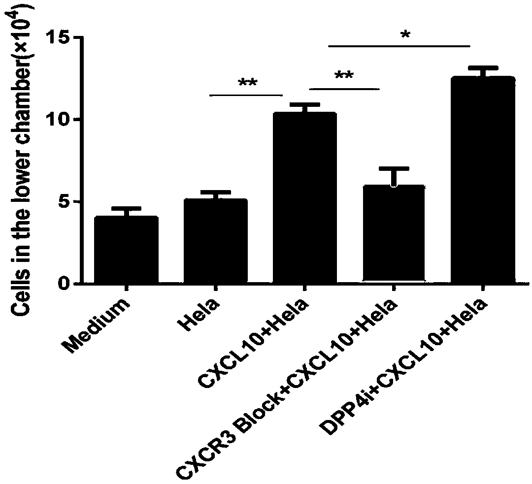 Reagent for enhancing capacity of homing CAR-T cell to solid tumor tissue