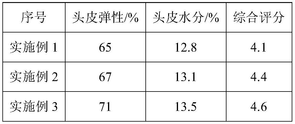 Traditional Chinese medicine shampoo for scalp and hair care and preparation method thereof