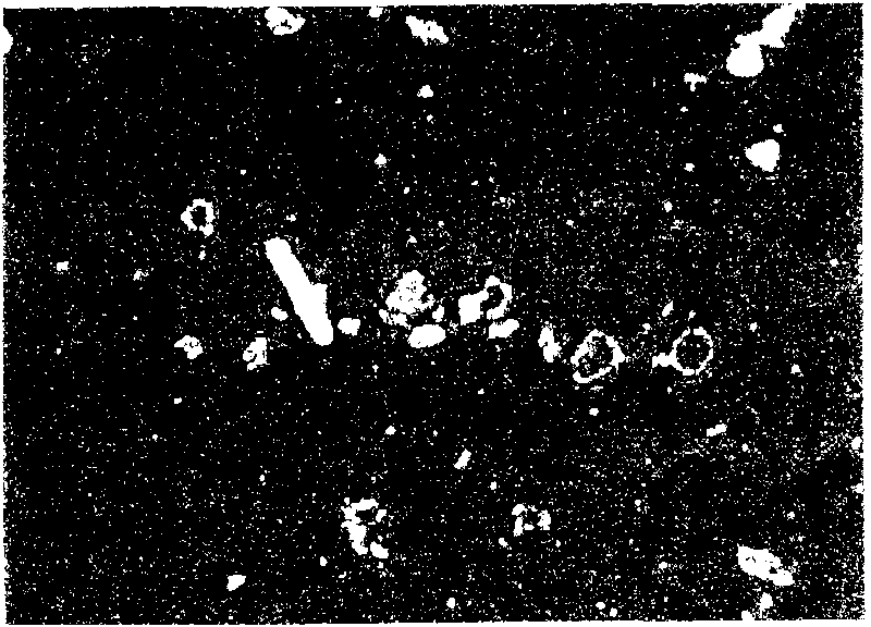 Carbon/aluminum composite compound and inorganic compound coated with carbon/aluminum composite compound