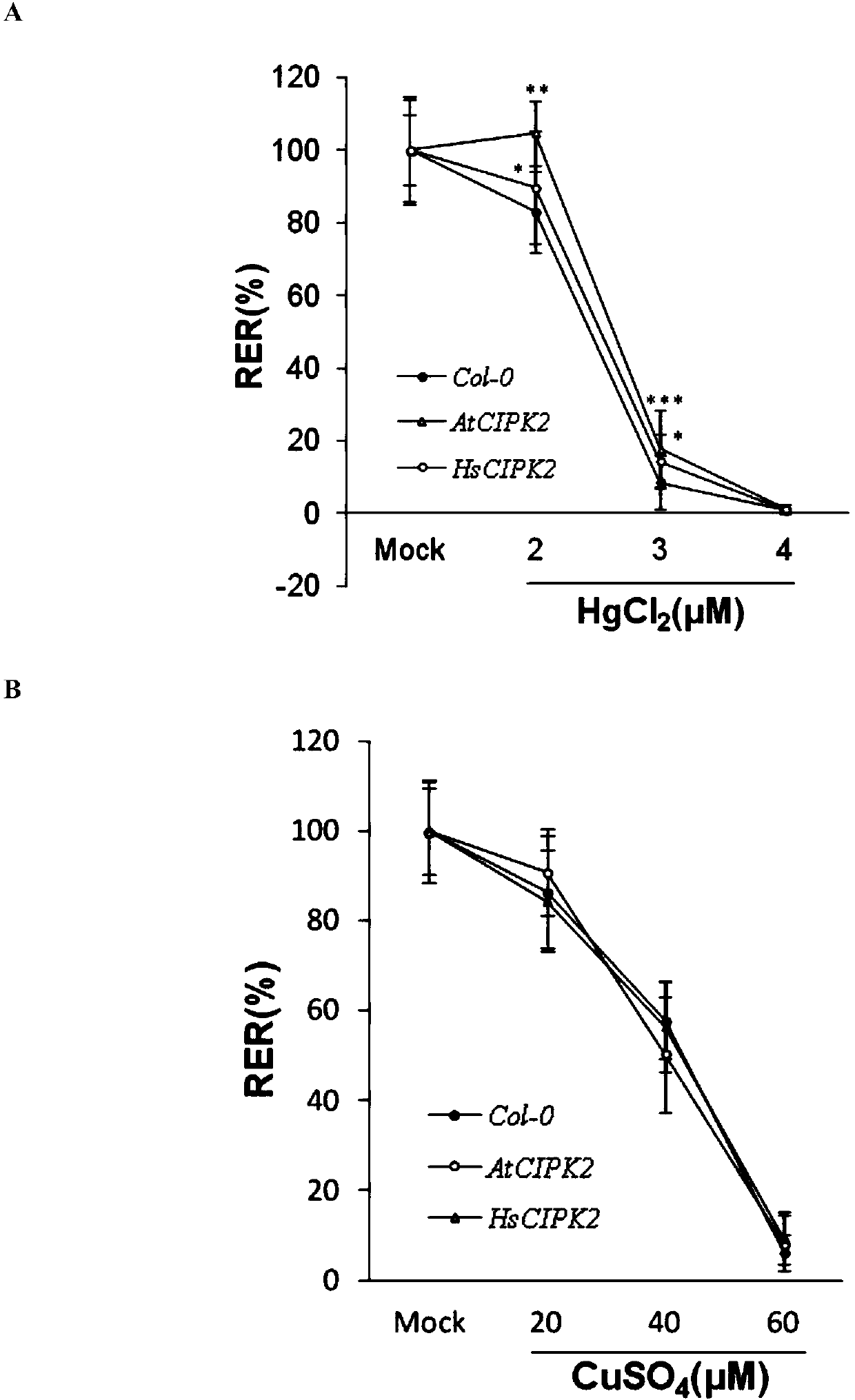 Application of CIPK2 to improvement of mercury resistance/tolerance ability of rice