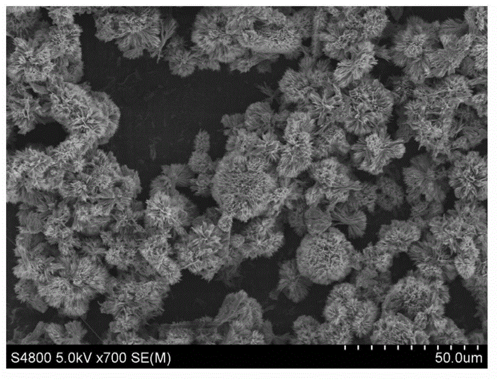 Preparation method and application of multistage-structured flower-shaped molybdenum trioxide