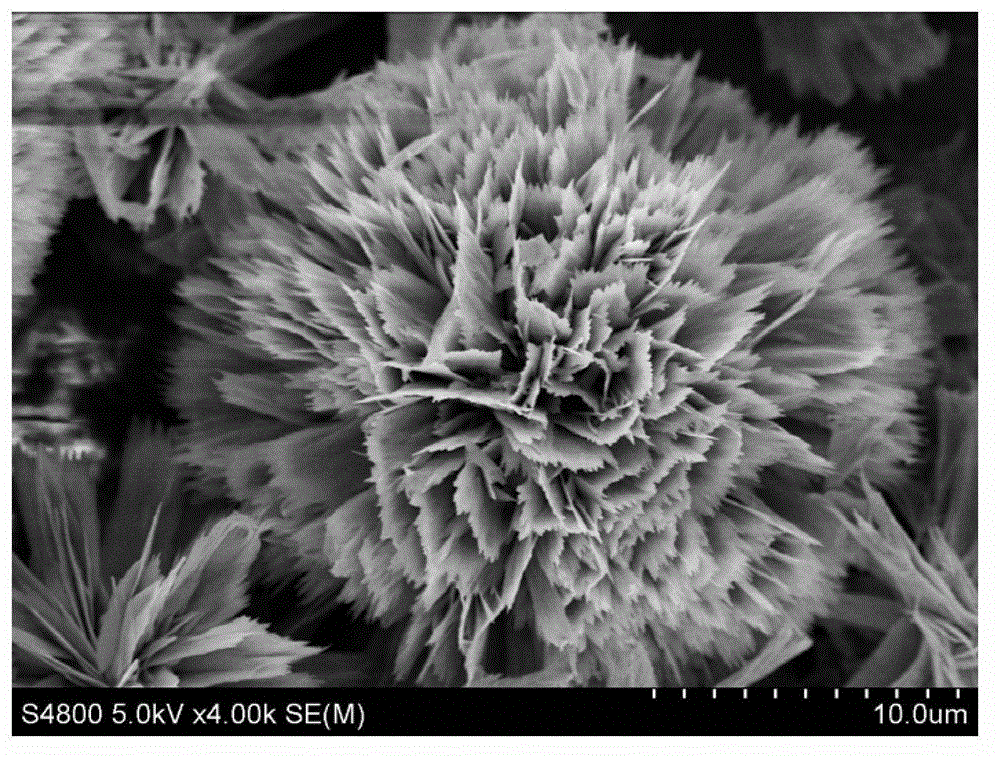 Preparation method and application of multistage-structured flower-shaped molybdenum trioxide