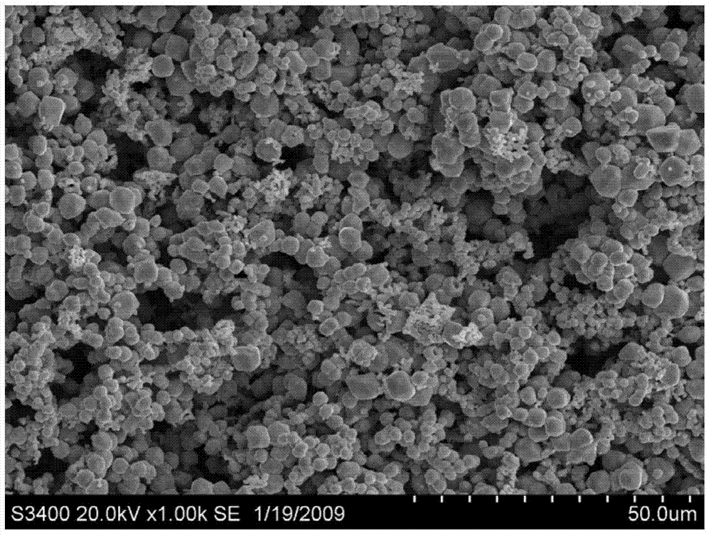 Method for preparing molybdenum powder by ammonium molybdate