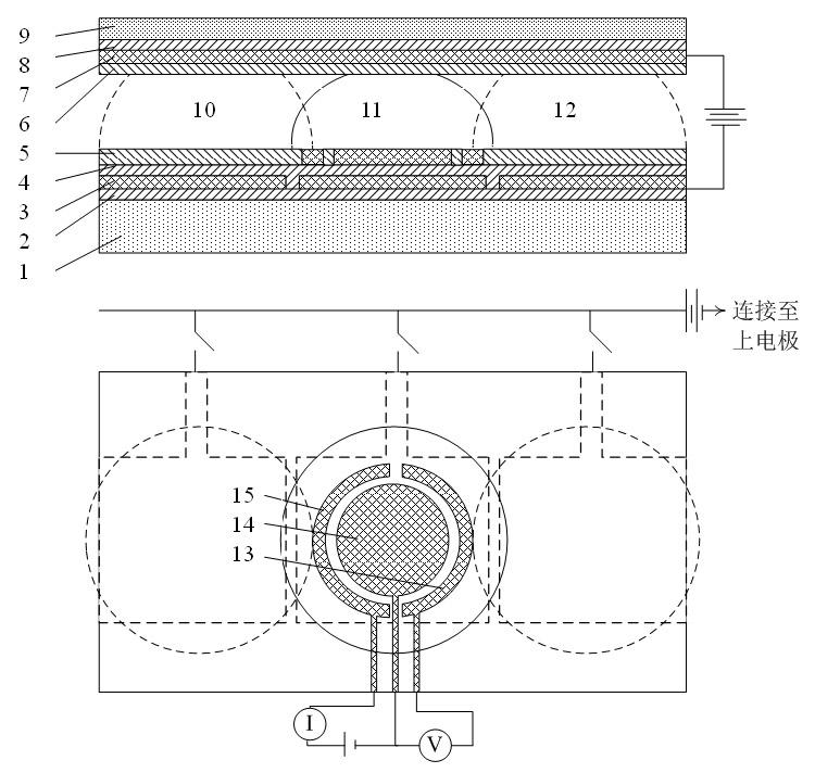 Electrochemical sensor chip based on digital microfluidic technology