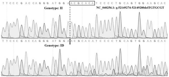 Application and method of sheep KDM3B gene insertion/deletion as early selection of reproductive traits