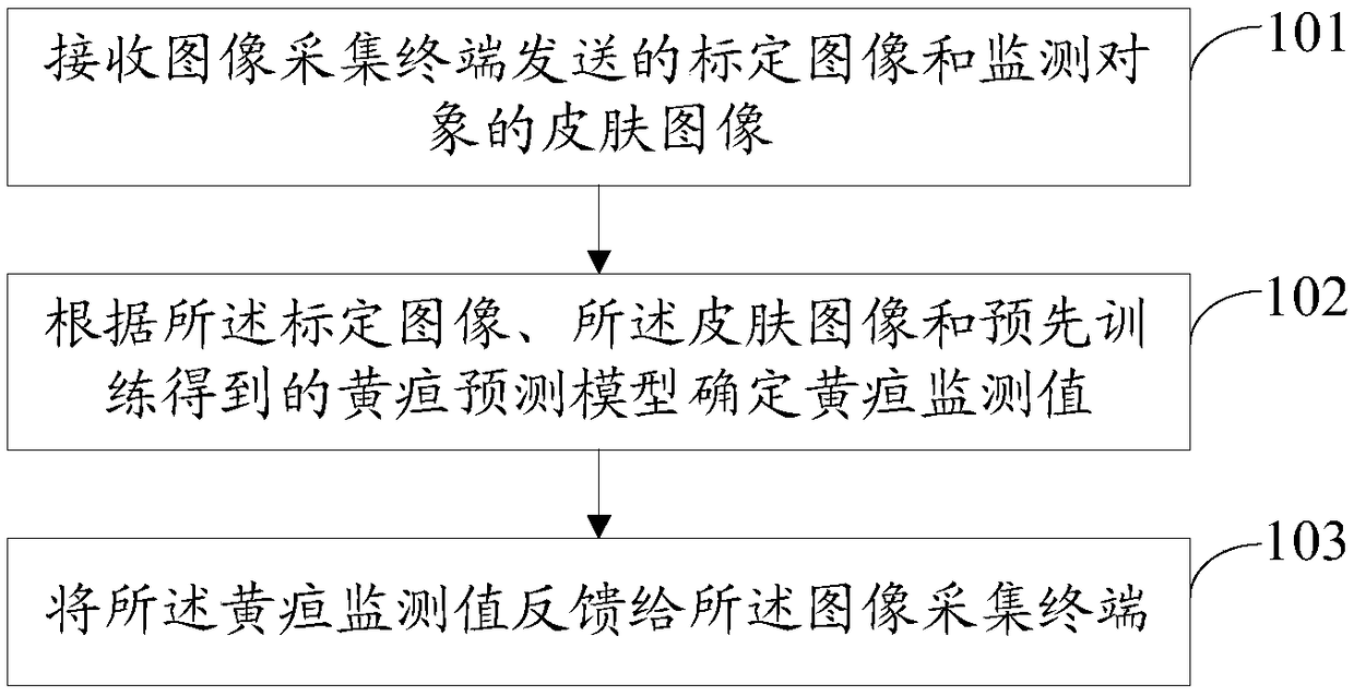 Jaundice monitoring method and device