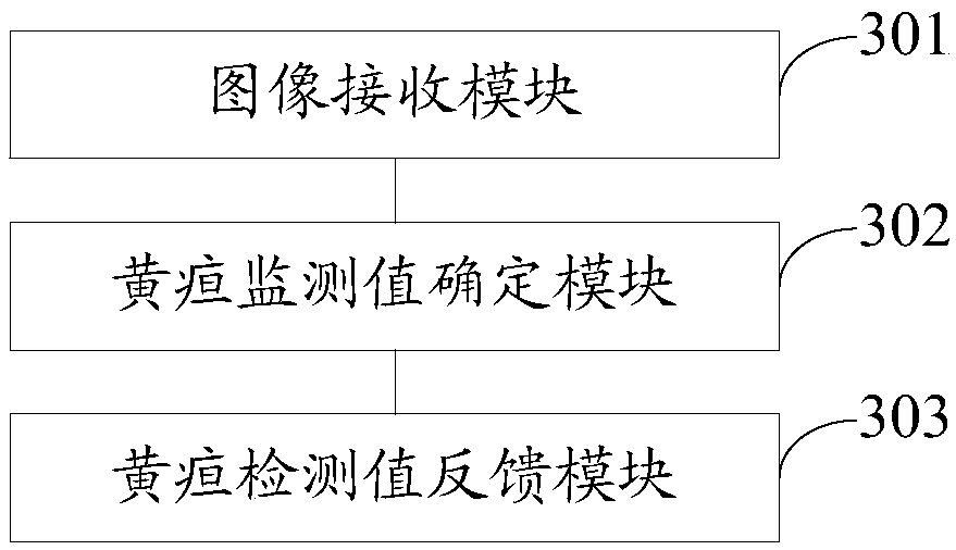 Jaundice monitoring method and device