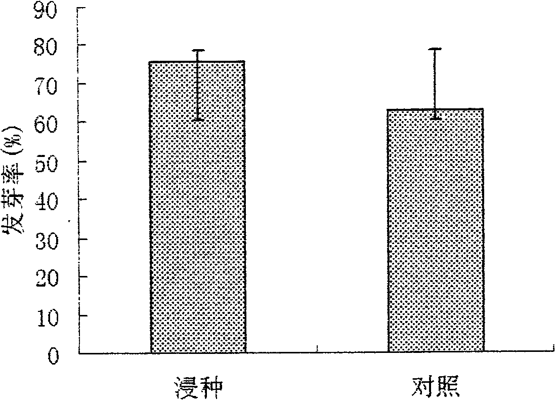 Method for improving germination of stevia rebaudiana seeds