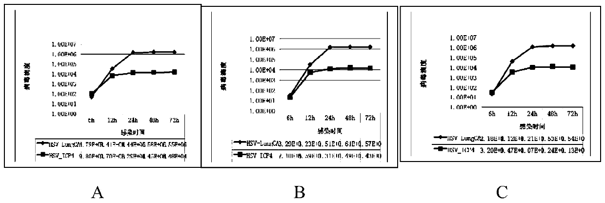 Recombinant herpes simplex virus hsv-htertp_icp4_lungca-gfp and diagnostic kit