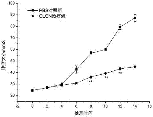 A kind of directional synthesis compound clcn and its application in anti-hepatocellular carcinoma drugs