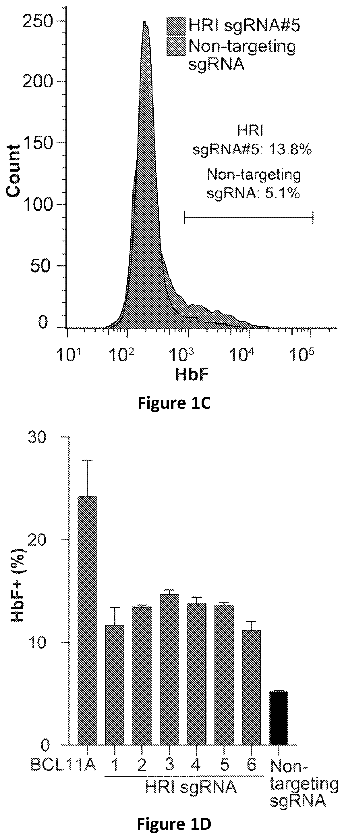 Compositions and methods for hemoglobin production