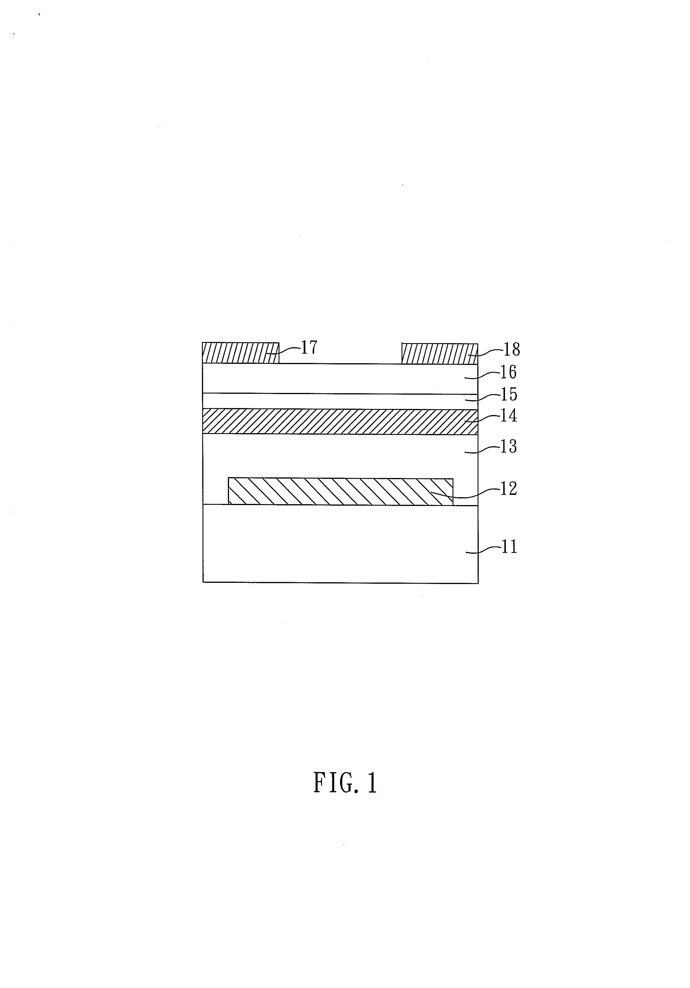 Organic floating gate memory device having protein and method of fabricating the same