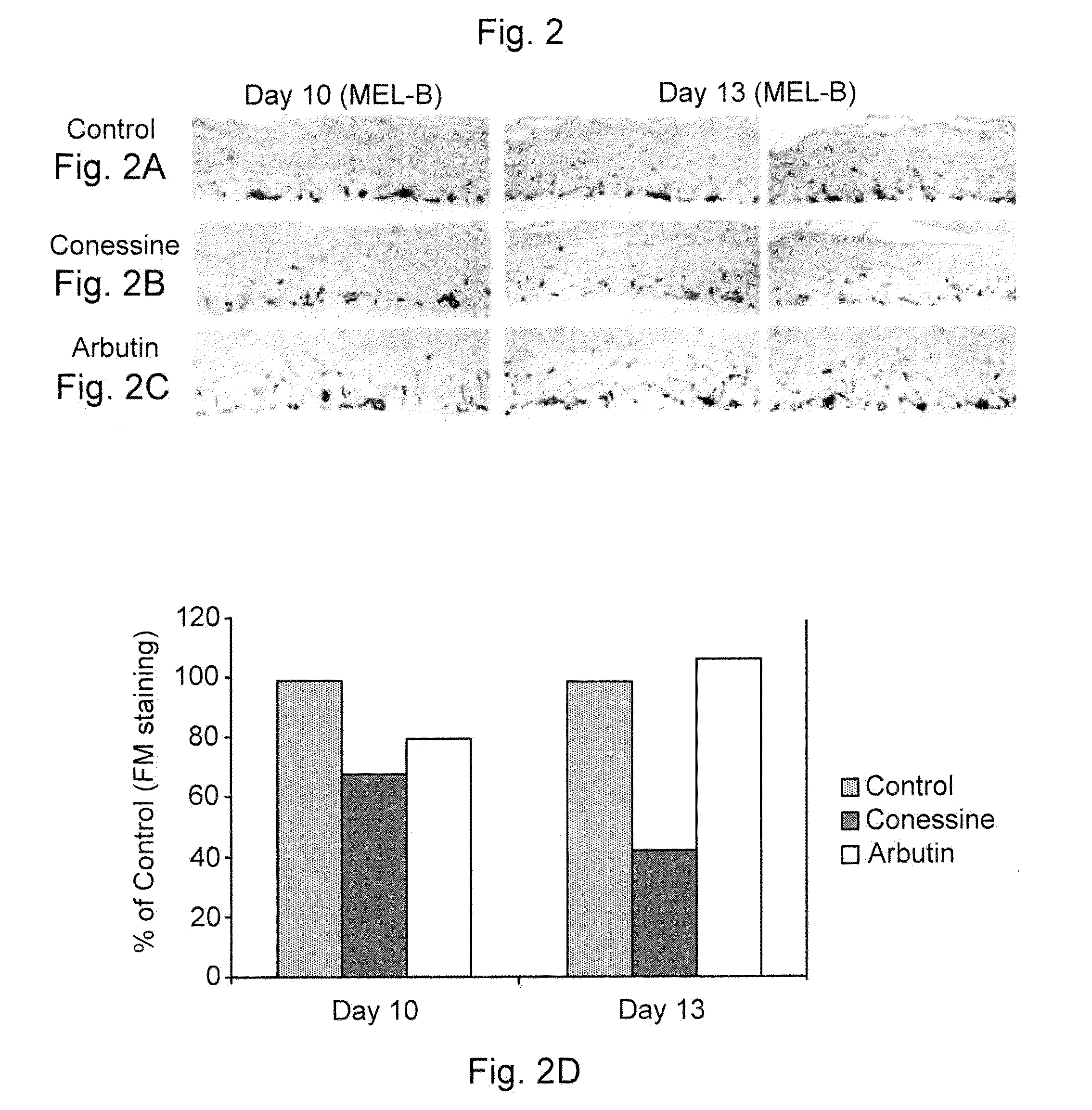 Steroidal compounds as melanogenesis modifiers and uses thereof