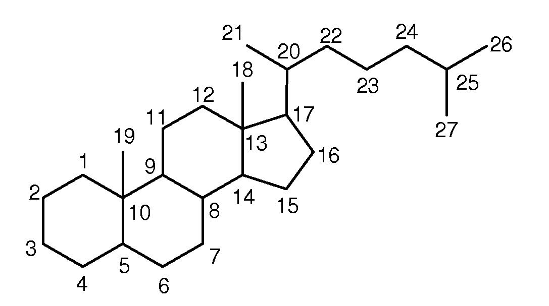 Synthetic bile acid compositions and methods