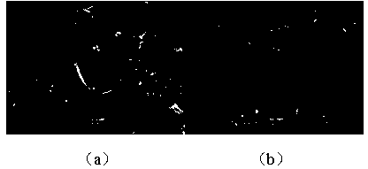 Dye-sensitized solar cell photoanode active membrane and preparation method thereof