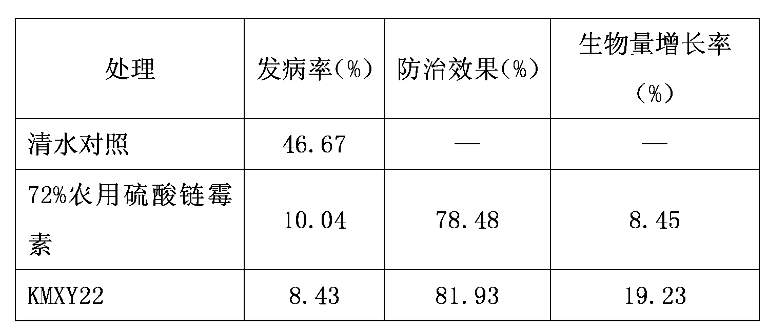 Biocontrol strain KMXU22 capable of preventing and treating soft rot of konjak and antibiological inoculant of biocontrol strain KMXU22