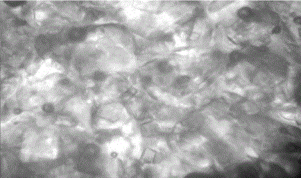 Crystallization process of crystalline fructose