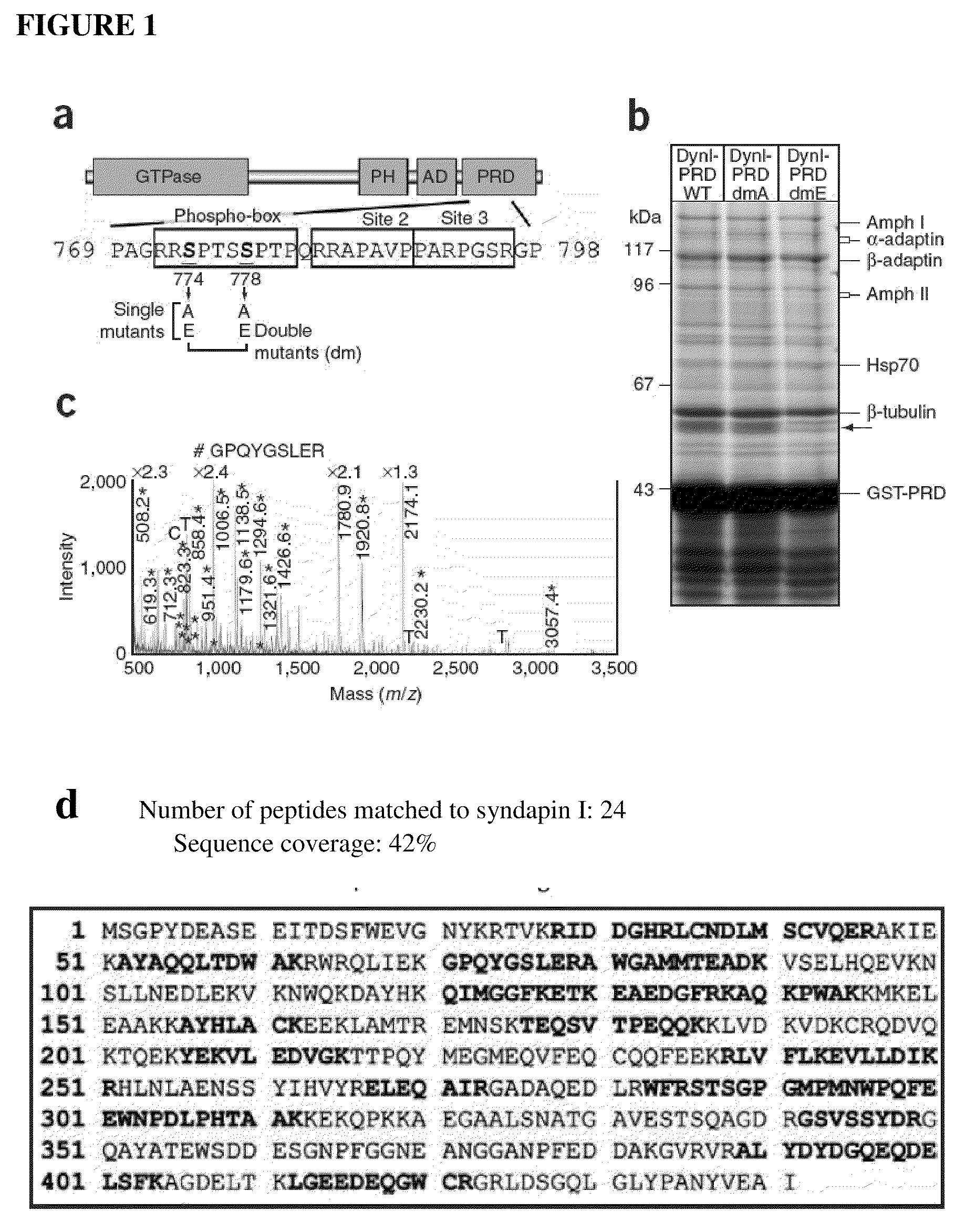 Agents for prophylaxis or treatment of neurological related diseases and conditions