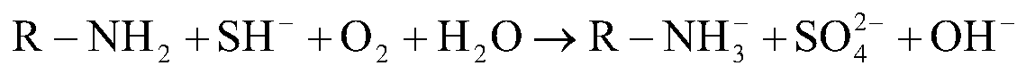 Microbial deodorant and preparation method thereof