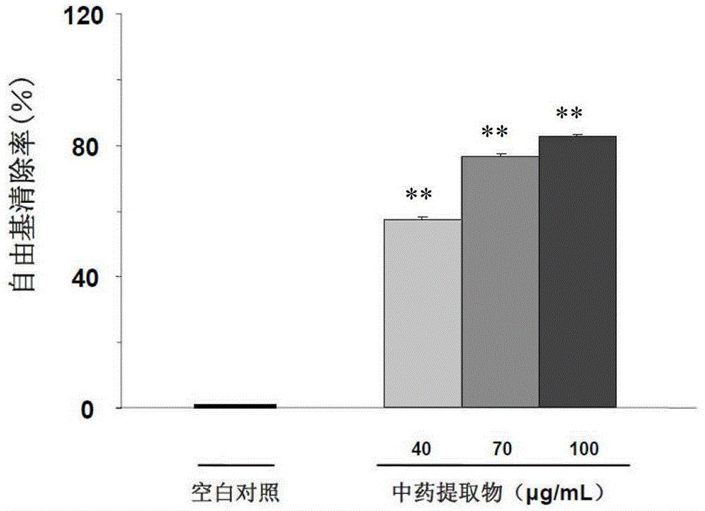 Traditional Chinese medicine composition with whitening effect, preparation method thereof and beautification application thereof