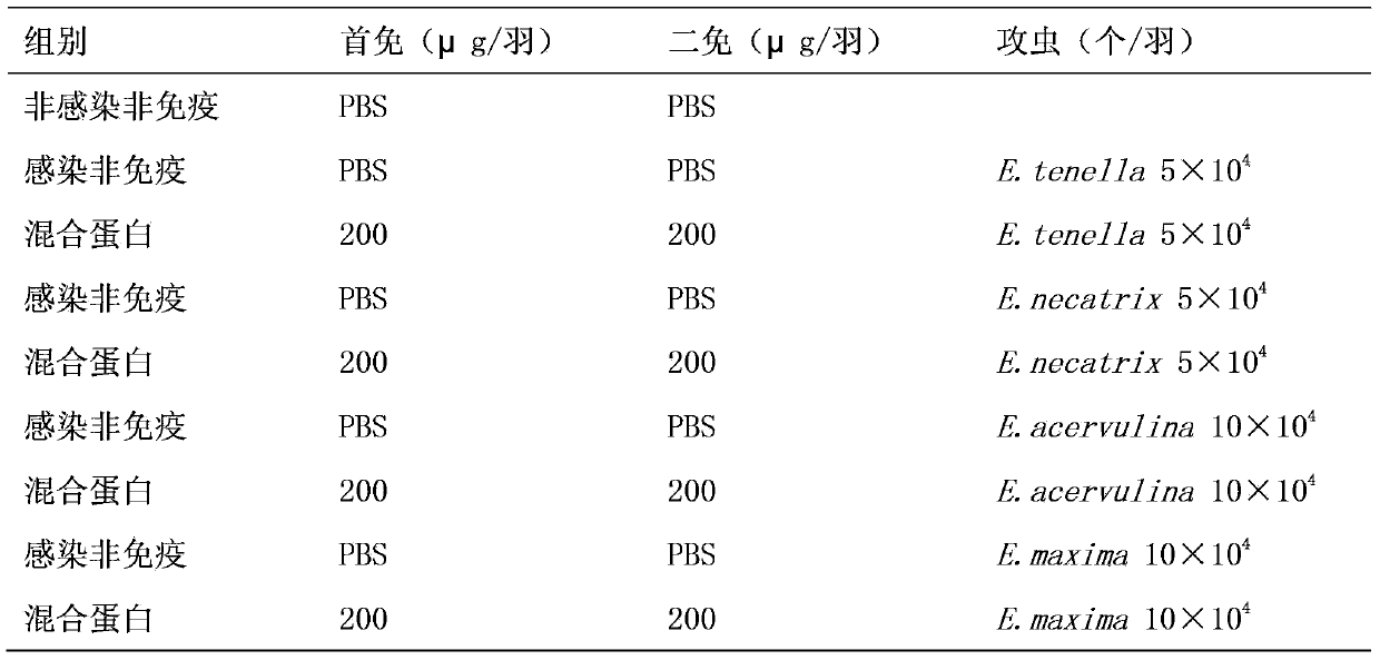 Multivalent recombinant protein subunit vaccine in chicken coccidiosis and application thereof