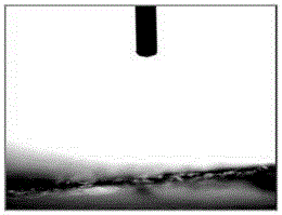 Efficient method for extracting sulfonamide residues in animal derived food