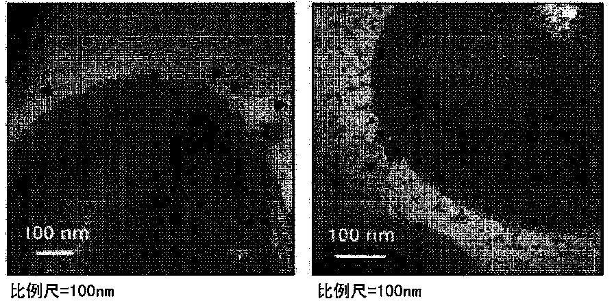 Extracellular vesicles derived from gram-positive bacteria and uses thereof