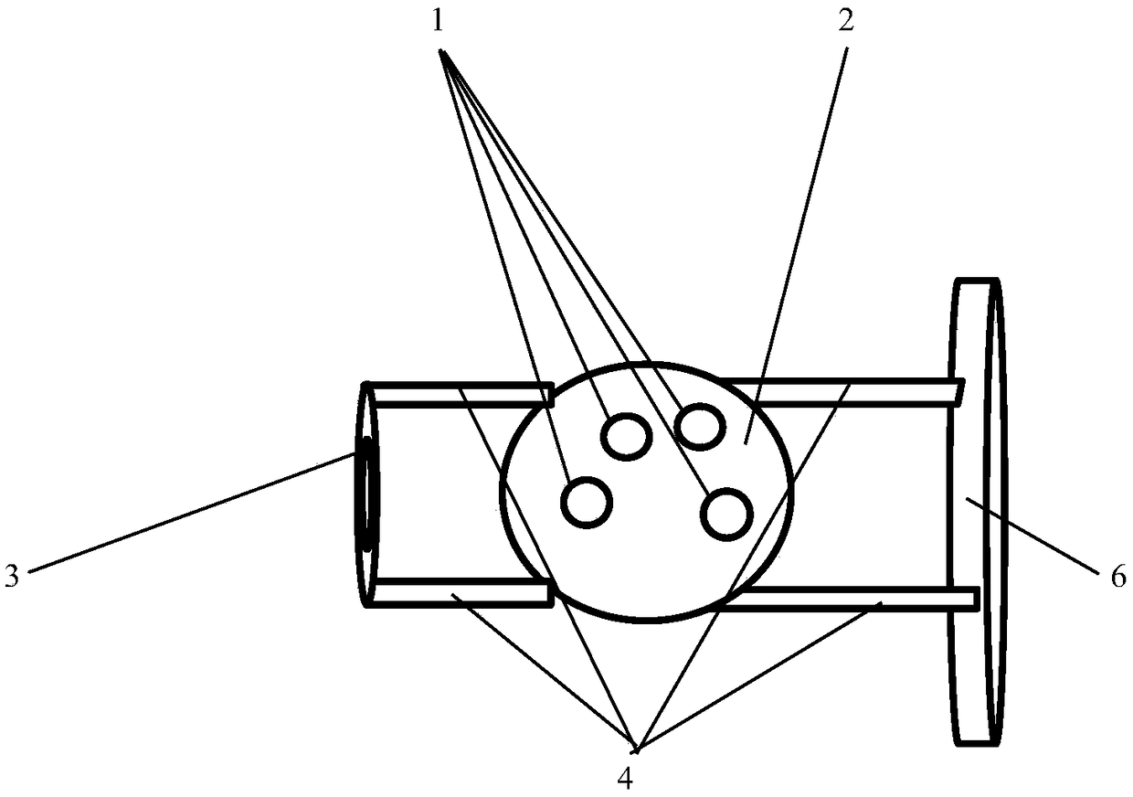 Carp robot brain electrode fixing device and method