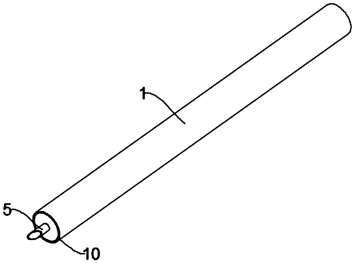 Living body sampling device for digestive system department