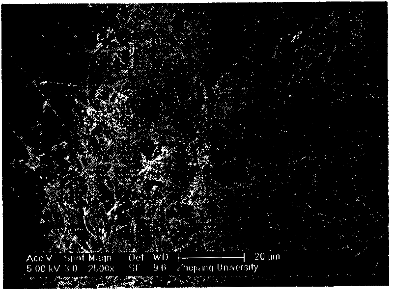 Preparation method and use of silicon carbide nano-wire catalyst for making hydrogen