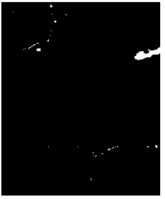 Flexible urea-formaldehyde foam and preparation method thereof