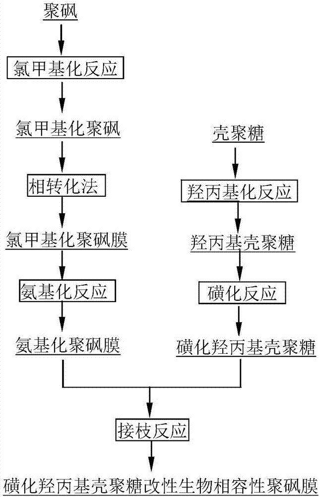 Sulfonated hydroxypropyl chitosan modified biocompatible polysulfone membrane and preparation method thereof