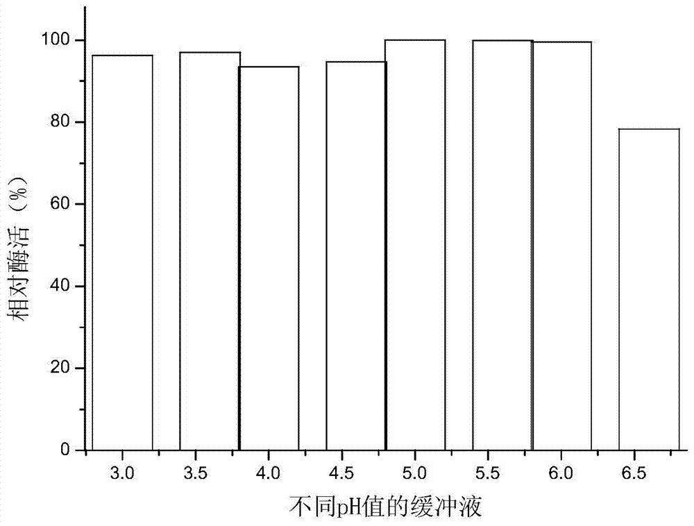 Aspergillus niger for largely producing xylanase and application thereof