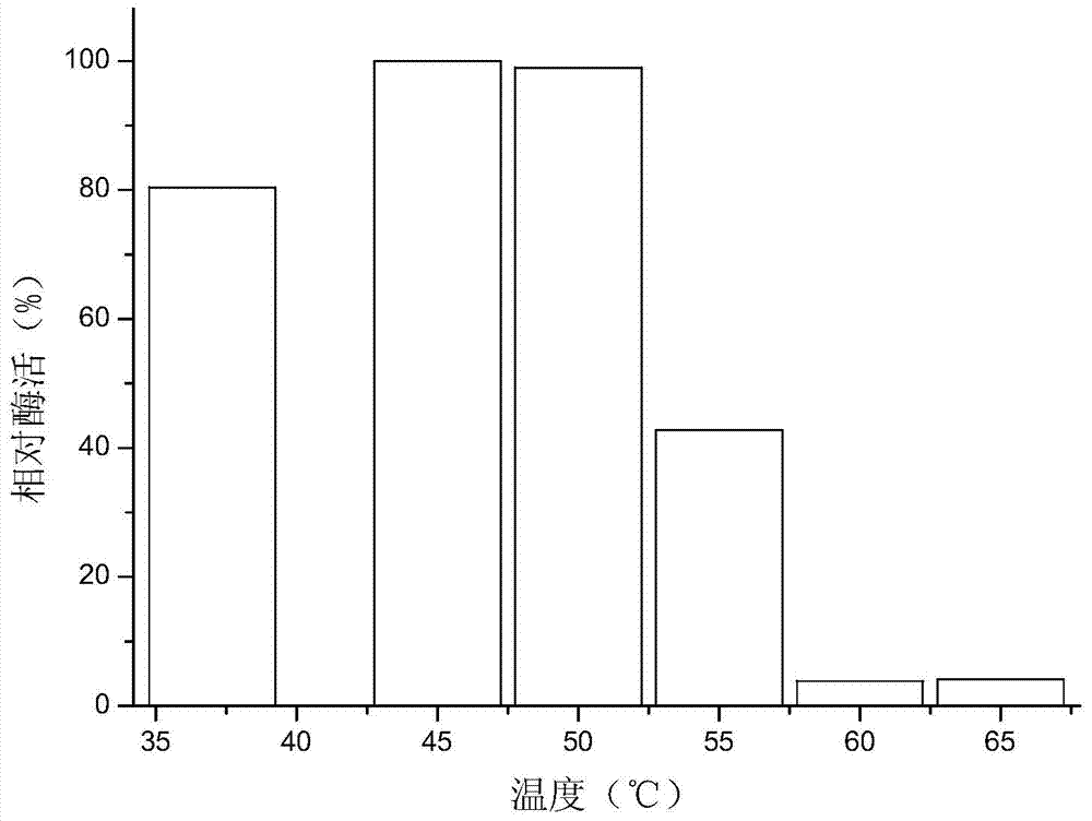 Aspergillus niger for largely producing xylanase and application thereof