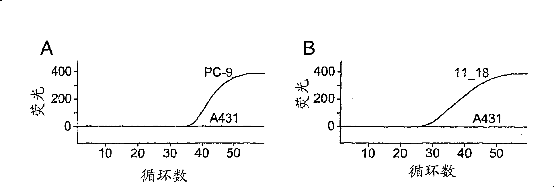 Method to predict or monitor the response of a patient to an ErbB receptor drug