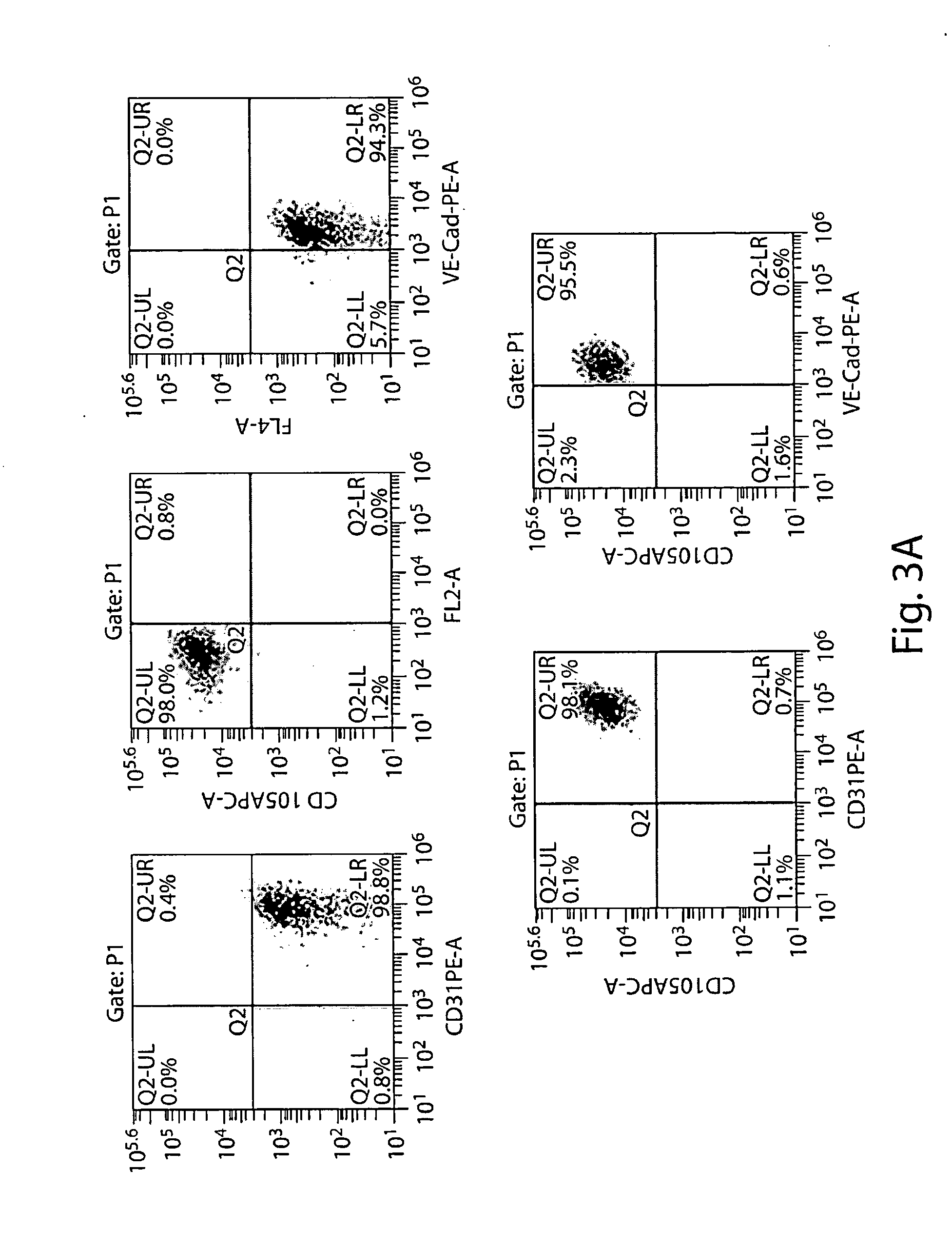 Methods for production of platelets from pluripotent stem cells and compositions thereof