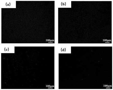 An anti-thrombotic, anti-infection, honeycomb porous structure titanium alloy implant device