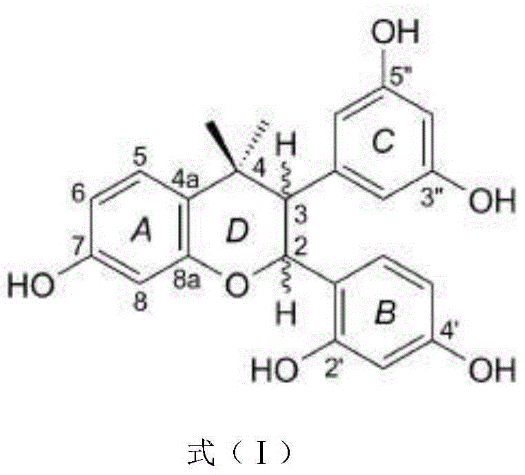 Application of Artoxanthochromane in helicobacter pyloridis-resistant drug