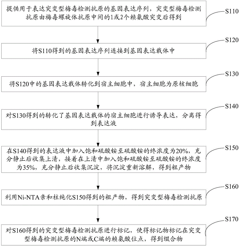 Conjugate, preparation method and application thereof