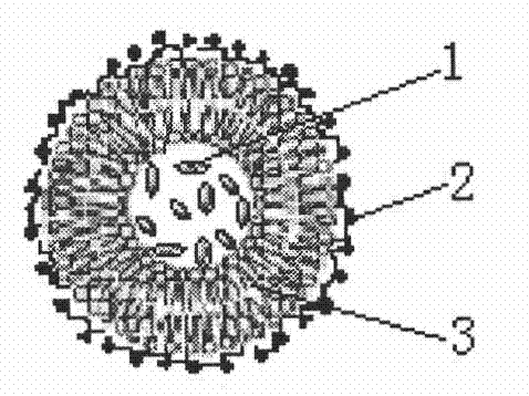 Method for preparing magnetic liposome