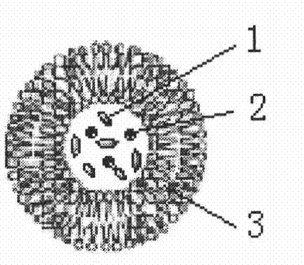 Method for preparing magnetic liposome