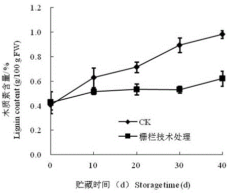 Preserving method for processing unsheathed phyllostachys heterocycla var. pubescens by utilizing fence technology